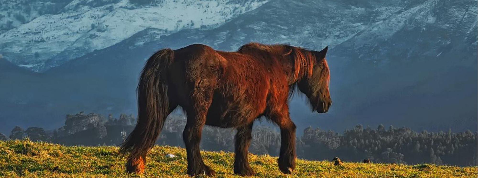 Willa El Pedroso De Llanes Villahormes Zewnętrze zdjęcie